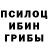 Галлюциногенные грибы Psilocybine cubensis easyweb pm