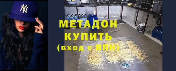 гашик Алексин