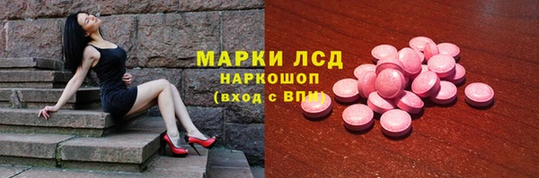 гашик Алексин