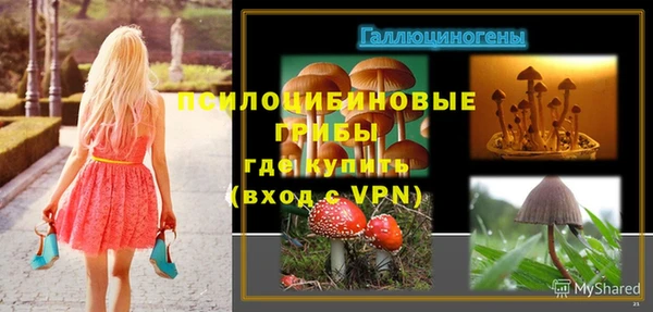 прущая мука Алзамай