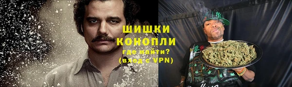 крисы Медногорск