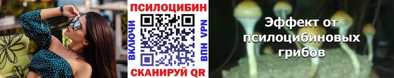 Галлюциногенные грибы GOLDEN TEACHER  mega онион  нарко площадка телеграм  Курск 